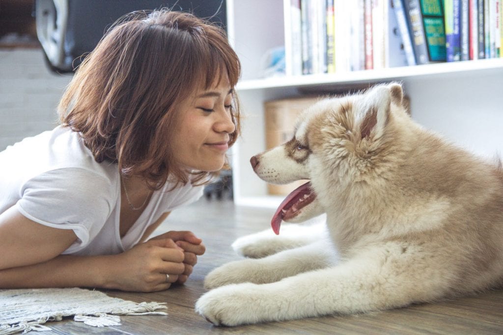 Dogs Reduce Student Stress, Study Finds